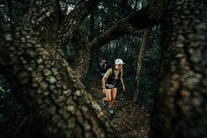 BIB: 
                            <button type="button" onclick="openModal(25684544)" class="btn btn-primary btn-sm float-right btn-popup" data-toggle="modal" data-target=".modal-high-quality">
                        <i class="fas fa-shopping-cart"></i> Add to Cart
                    </button>
                                            <button type="button" onclick="isThisMe(25684544, true)" class="btn btn-success btn-sm float-right btn-popup btn-isme hidden" data-toggle="tooltip" data-placement="bottom" title="นี่คือรูปของคุณใช่ไหม คลิกที่นี่เพื่อเอาเข้าอัลบั้ม">
                        <i class="fas fa-plus"></i> Add to album
                    </button>
                    <button type="button" onclick="isThisMe(25684544, false)" class="btn btn-warning btn-sm float-right btn-popup btn-isnotme hidden">
                        <i class="fas fa-ban"></i> Remove from album
                    </button>